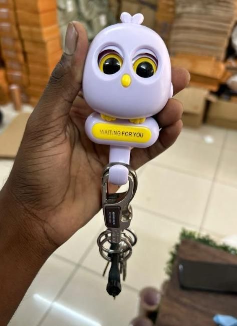 Owl Night Wall Magnetic Key Holder for Home and Office