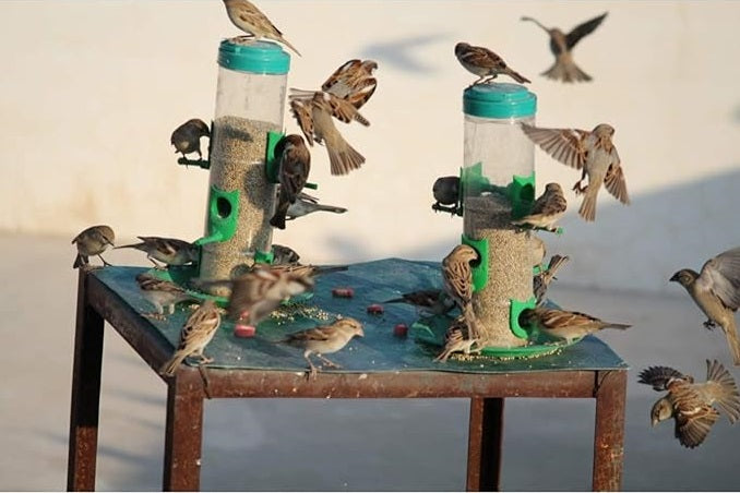 Bird Food and Water Feeder Hanging for Balcony