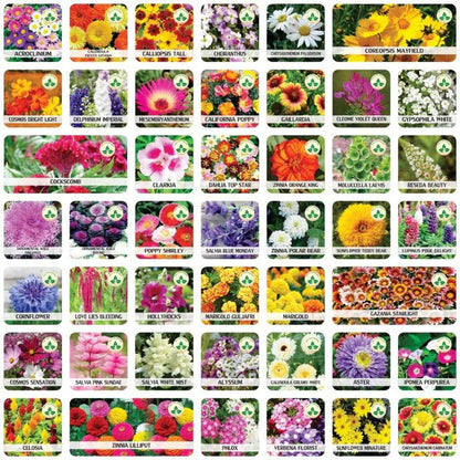 Varieties of Flower Seeds (Pack of 100) And Get Plant Growth Supplement Free