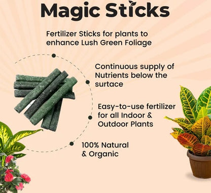 Plant Food Fertilizer Green Sticks for All Plants