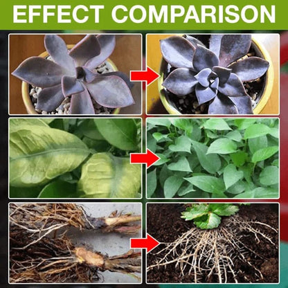 Plant Growth Enhancer